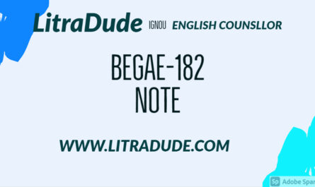 BEGAE-182 Note